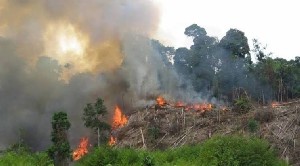 Karhutla di Indonesia, Malaysia Rencana Buat Hujan Buatan